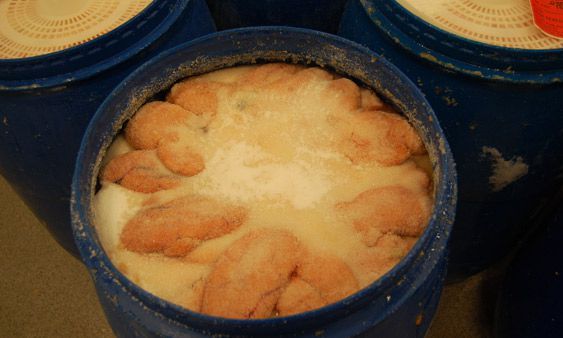 Salted Cod Roe from Norway supplied by Hopen Fisk AS - Roe (=Caviar) Frozen Cod