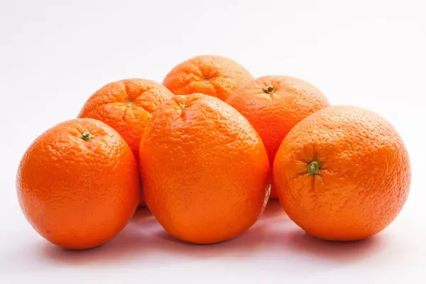 Orange from 남아프리카공화국 supplied by Think Fruit - 주황색 신선 오렌지