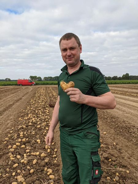 Fresh Potato from 독일 supplied by Agricultural Cooperative Weißensee eG - Fresh (=Chilled) 신선 일반 감자