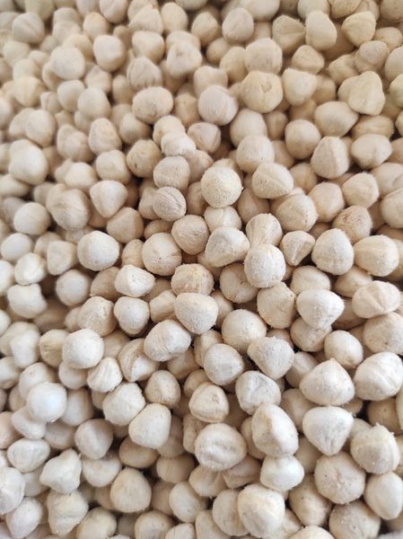Moringa kernel from 인도 supplied by SVM EXPORTS - 캐슈너트 알맹이