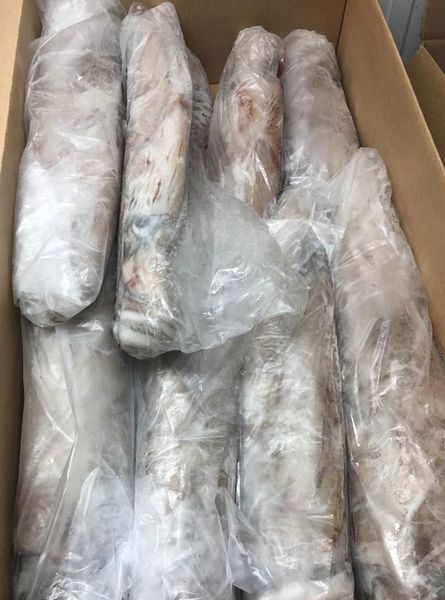SQUID - Loligo forbesi from Portugal supplied by Vidinha Group - European Squid (=Loligo vulgaris=Common Squid) Frozen Squid