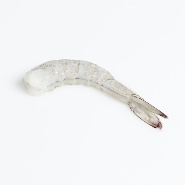 Shrimp from Ecuador supplied by COFIMAR S.A. - Precooked Frozen Common Shrimp & Prawn
