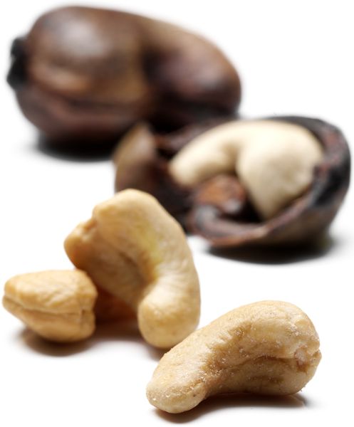 Cashew nuts from Tanzania supplied by Emma Tanzania logic Ltd - Tanzanian Type Cashew Nut Kernel