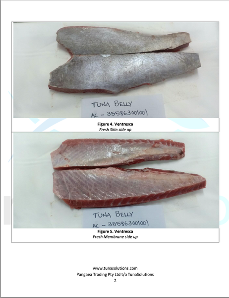 Yellowfin Tuna Belly from 호주 supplied by TunaSolutions - NW 100% 냉동 참치 필레