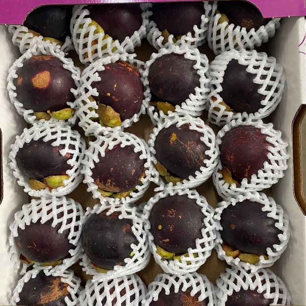 Fresh Mangosteen from Netherlands supplied by Sukan Food - Purple Fresh Mangosteen