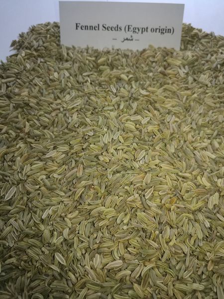 Fennel seed from Egypt supplied by AL HAYAH FOR IMPORT AND EXPORT - Dried Fennel Seed