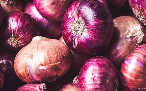 Onion from Morocco supplied by Fresh Box - Whole Fresh Onion
