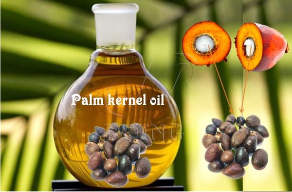 Palm Kernel Oil from Colombia supplied by Oleoflores SA - Whole Palm Kernel Oil