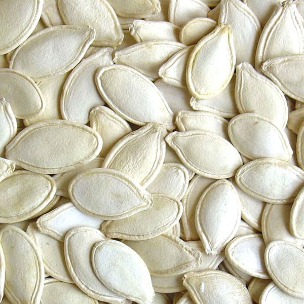 Pumpkin Seeds from Ukraine supplied by GFK COMPANY - Snow White (=SW=Snowwhite=Hundred Pounds) Pumpkin Seed