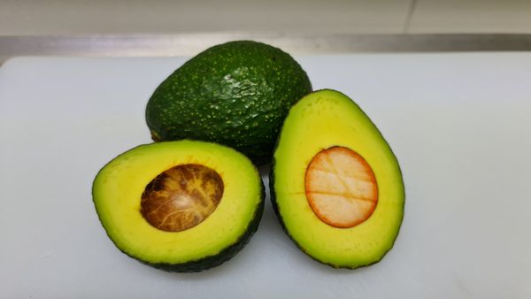 Avocado from Guatemala supplied by Palo Blanco Fresh Foods - Green Fresh Avocado
