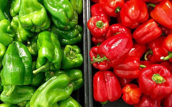 Chili pepper from 우간다 supplied by YTBM AFRO FRUITS - 녹색 신선 고추