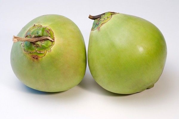 Fresh Coconut from 베트남 supplied by Hoa Mai Agricultural Product Seafood Company Limited - Carton Box (=Cardboard Box) 기타 신선 코코넛