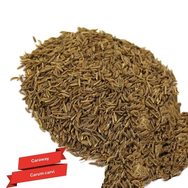 caraway seeds from 이집트 supplied by HERBS EGYPT - Seed 캐러웨이 씨