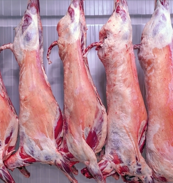 Mutton from 케냐 supplied by KenMeat Ltd - With Bone 양고기