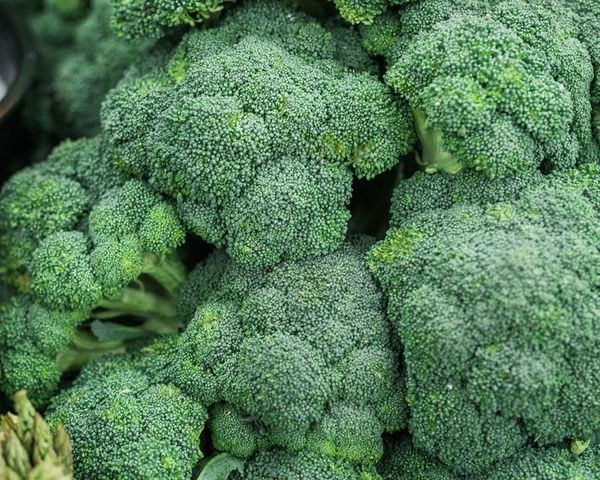 fresh Broccoli from 폴란드 supplied by POLSWEET Sp. z o.o. - Green 신선 브로콜리 꽃