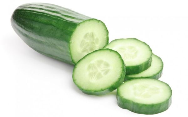 Cucumber from 미국 supplied by Garcia Fresh Vegetables - Green 신선 오이