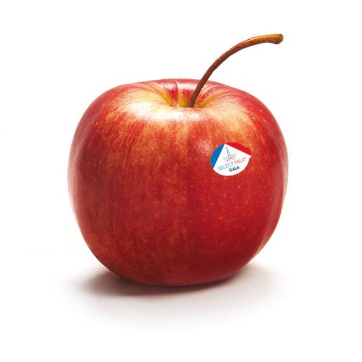 Gala Apple from France supplied by Select Fruit - Reddish Yellow Fresh Apple