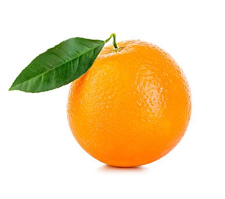 Oranges from 뉴질랜드 supplied by Darling Group - Navel - Washington Navel (=Bahia) 신선 오렌지