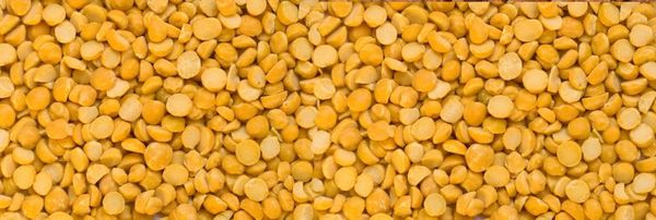 Chickpea from 스리랑카 supplied by Green Tree Pulses - Indian Variety - Desi 말린 병아리콩