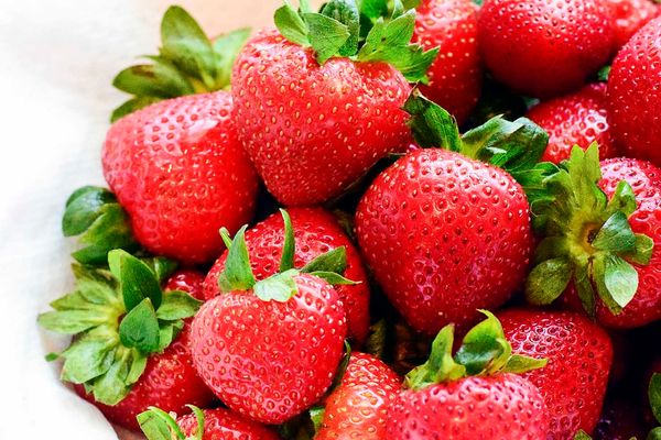 Fresh Whole Strawberry from 그리스 supplied by PAPADIMAS, D., - B. REVAS SA - Whole 신선 딸기