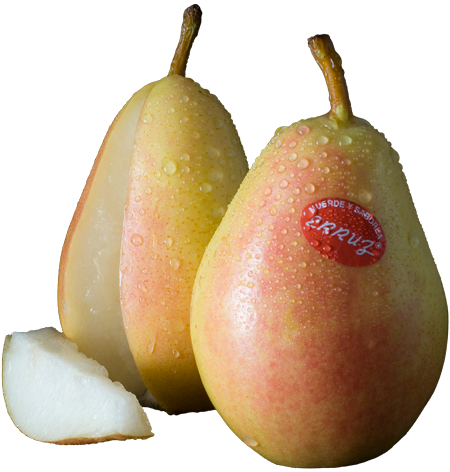 Pear from Spain supplied by Frutas Erruz SL - Conference (=Conferencia=Conferance) Fresh Pear