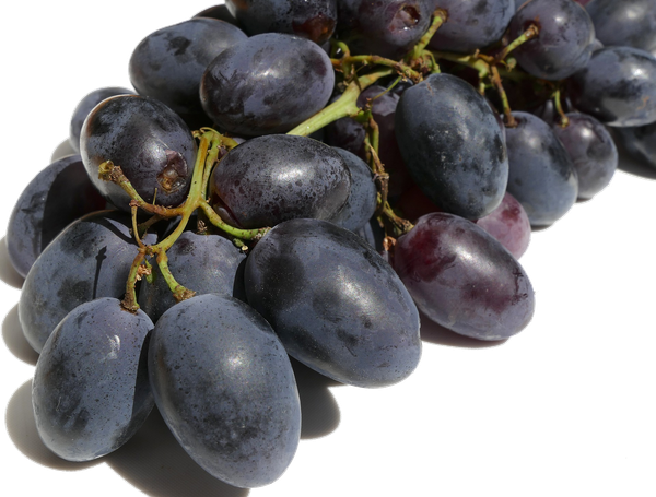 grape juice from United States supplied by Taiwan Green Nation Corp. - FC (=From Concentrate) Grape Juice