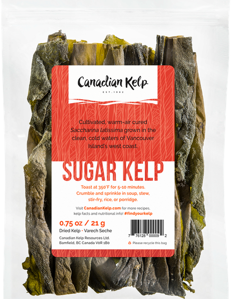 Sugar Kelp from 캐나다 supplied by Canadian Kelp Resources - Sweet Kombu (=Sweet Kelp=Sugar Kelp=Laminaria Saccharina) 냉동 해조류