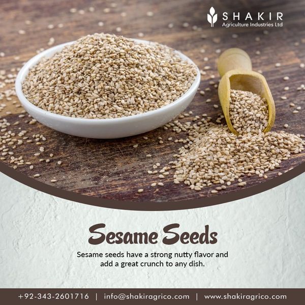 Sesame Seeds from Uganda supplied by Shakir Agriculture Industries Ltd. - Brown (=Golden=Yellow) Sesame Seed