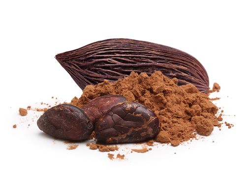 Cocoa from Mexico supplied by Corporativo Químico SYR - Raw (=Natural) Cocoa Bean