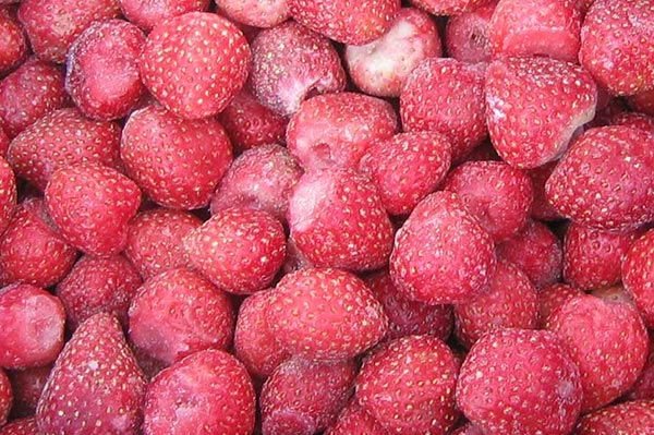 Frozen strawberry from 멕시코 supplied by HQ FLAVOR - Red 신선 딸기