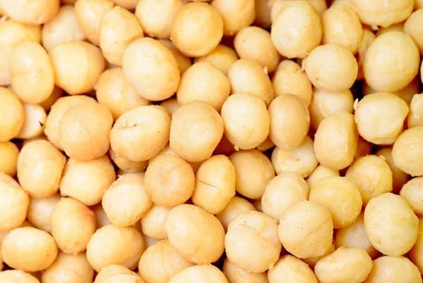 Organic Macadamia from Germany supplied by Ortlieb Organic GmbH - Shelled (=Kernel) Macadamia Kernel