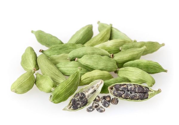 Green Cardamom from 인도 supplied by Gryphonyx Tradelink - 그린 카다멈 카다멈