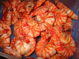 Tiger Prawns from Ireland supplied by Bill Ryan Ltd - Tiger Prawn Frozen Common Shrimp & Prawn