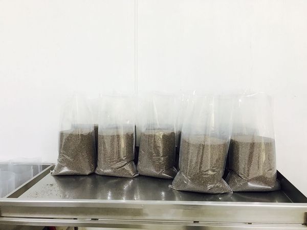 Chia seeds from 멕시코 supplied by Connect The World S.A. de C.V. - Unhulled 치아 씨