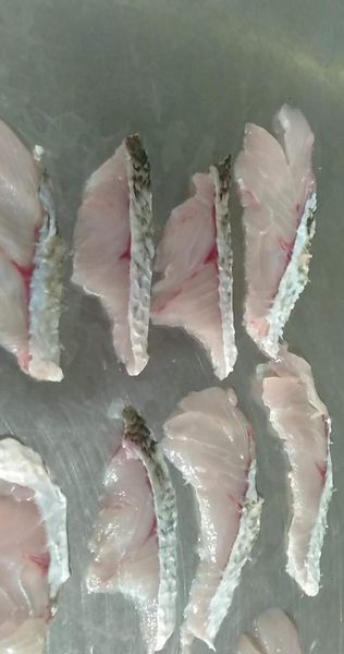 Baramunddi Slices from 베트남 supplied by PT. MEJEZ CENTENIAL CEMERLANG - Medium Quality 어분
