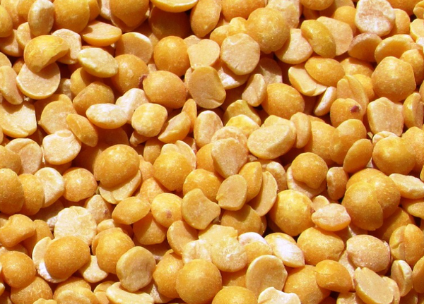 Peas from 체코 supplied by AGRISAB s.r.o. - Round 말린 일반 콩