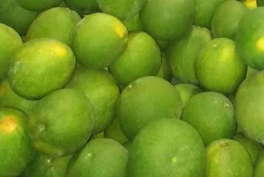 Green-Skinned Pomelo from 베트남 supplied by Doan Minh Chien General Farm - Green 신선 포멜로