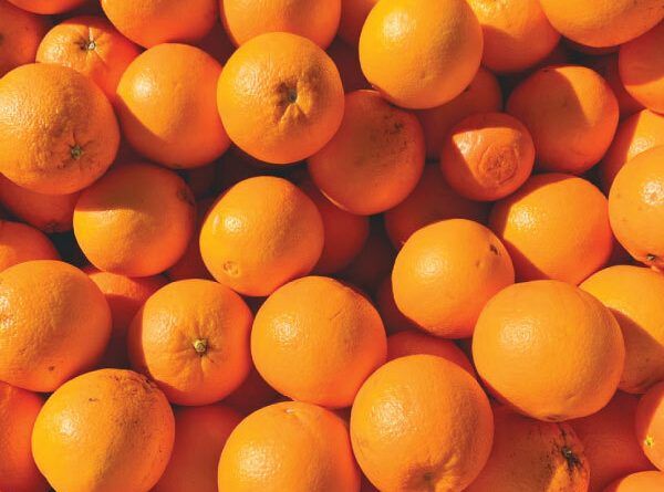 Fresh Orange from 파키스탄 supplied by Prime Fruits - 주황색 신선 오렌지