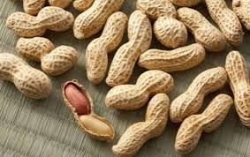 Groundnuts (peanuts) from Sudan supplied by Alara For Invesments - Size: 70-80 Peanut Kernel