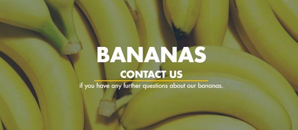 Banana from 독일 supplied by Port International GmbH - Yellow 신선 바나나
