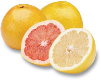 Fresh Grapefruit from 튀르키예 supplied by Ergün Halcilik Ambalaj İthalat İhracat Sanayi Ticaret Ltd. Şti. - Fresh (=Chilled) 신선 자몽