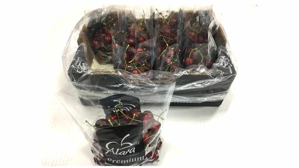 Cherry from 튀르키예 supplied by Alara Tarim Urunleri Sanayi Ve Ticaret A S - 24-30 mm 신선 체리