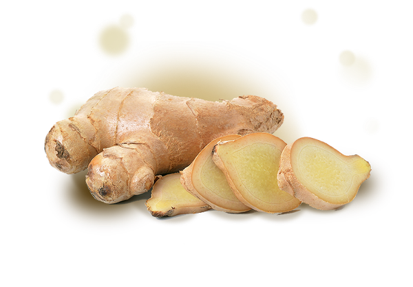 Ginger from Israel supplied by Marina Mushrooms - Whole Whole Ginger