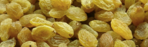 Iranian Raisins from Iran supplied by RASHA PISTACHIO CO. - Kashmiri Raisin (Dried Grape)