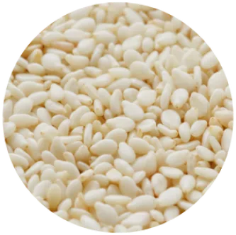 Raw Sesame Seed from Paraguay supplied by HYPERGRAIN SA - Black Sesame Seed