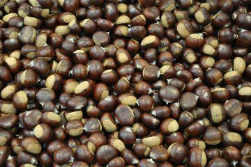 CHESTNUTS from 독일 supplied by Meywex Fruchthandel GmbH - Superior (=Sugarone=Sugraone=Menindee Seedless) 밤 알맹이