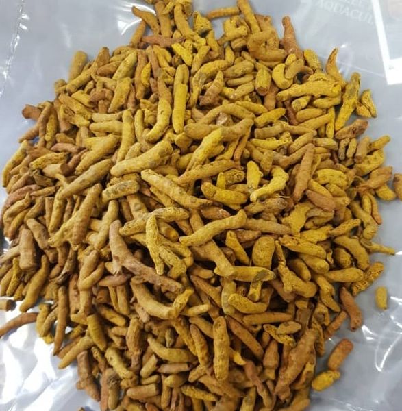 Turmeric Finger & Bulb from 에티오피아 supplied by Yso Import-export - 3~5 cm 튜메릭