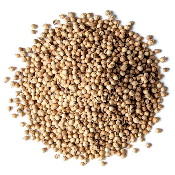 Organic Coriander from 독일 supplied by AgaSAAT GMBH - Organic 고수