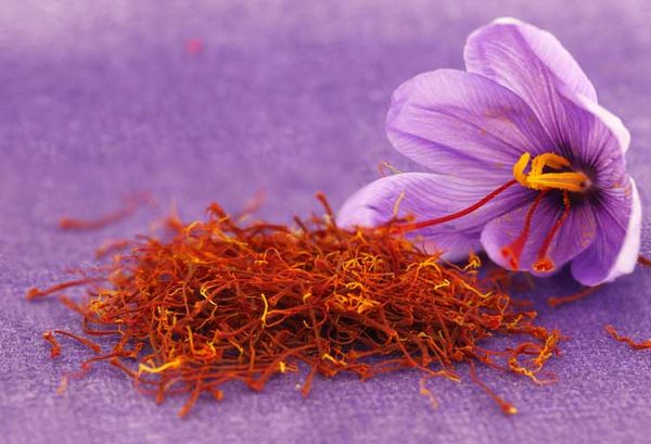 Iranian best quality Saffron (Sargol) from Iran supplied by Damavand Trading Fartak GROUP - Mesh Bags Saffron