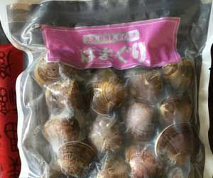 Vaccum Shelled Clams from 중국 supplied by Dandong  Hailufeng  Trading Co.,Ltd - Vaccum 냉동 조개
